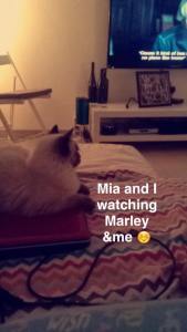 11655283_10154079273588298_751061889_n